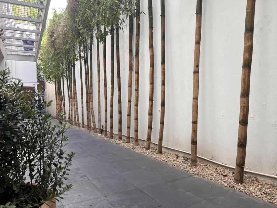 Condesa Residence Amsterdam 101 Serene 1 Bed1Bath On Amsterdam Av Mexico City Exterior photo