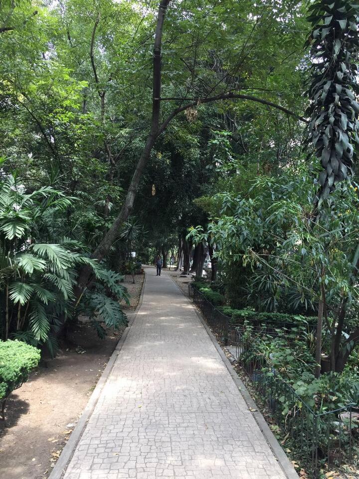 Condesa Residence Amsterdam 101 Serene 1 Bed1Bath On Amsterdam Av Mexico City Exterior photo